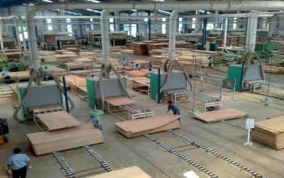 Pabrik Plywood & Veener